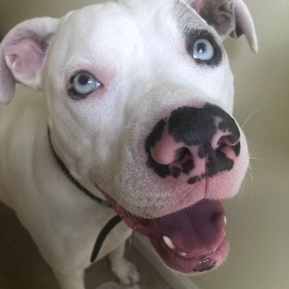 💫CHECK OUT MY DEALS💫